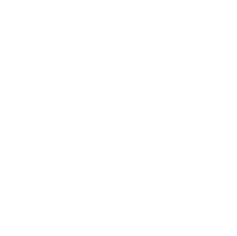 iconsax medal star (1)
