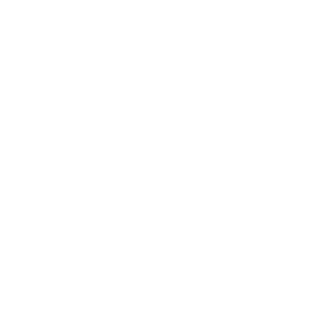 iconsax people (1)